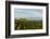 Washington State, Lake Chelan. Vineyard-Richard Duval-Framed Photographic Print