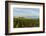 Washington State, Lake Chelan. Vineyard-Richard Duval-Framed Photographic Print