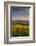 Washington State, Lyle. Mt. Hood Seen from a Vineyard Along the Columbia River Gorge-Richard Duval-Framed Photographic Print