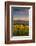 Washington State, Lyle. Mt. Hood Seen from a Vineyard Along the Columbia River Gorge-Richard Duval-Framed Photographic Print