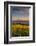 Washington State, Lyle. Mt. Hood Seen from a Vineyard Along the Columbia River Gorge-Richard Duval-Framed Photographic Print