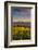 Washington State, Lyle. Mt. Hood Seen from a Vineyard Along the Columbia River Gorge-Richard Duval-Framed Photographic Print