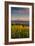 Washington State, Lyle. Mt. Hood Seen from a Vineyard Along the Columbia River Gorge-Richard Duval-Framed Premium Photographic Print