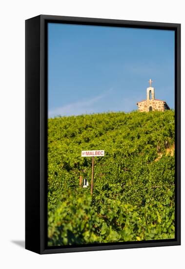 Washington State, Mabton. Malbec Grapes-Richard Duval-Framed Premier Image Canvas