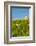 Washington State, Mabton. Malbec Grapes-Richard Duval-Framed Photographic Print