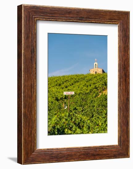 Washington State, Mabton. Malbec Grapes-Richard Duval-Framed Photographic Print