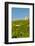 Washington State, Mabton. Malbec Grapes-Richard Duval-Framed Photographic Print