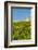 Washington State, Mabton. Malbec Grapes-Richard Duval-Framed Photographic Print