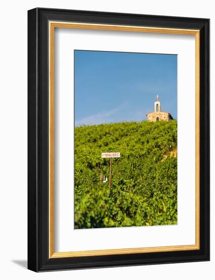 Washington State, Mabton. Malbec Grapes-Richard Duval-Framed Photographic Print