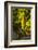 Washington State, Mabton. Viognier Grapes-Richard Duval-Framed Photographic Print