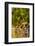 Washington State, Mattawa. Cabernet Franc Grapes-Richard Duval-Framed Photographic Print