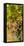 Washington State, Mattawa. Cabernet Franc Grapes-Richard Duval-Framed Premier Image Canvas