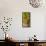 Washington State, Mattawa. Cabernet Franc Grapes-Richard Duval-Framed Premier Image Canvas displayed on a wall