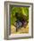 Washington State, Mattawa. Cabernet Franc Grapes-Richard Duval-Framed Photographic Print