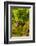 Washington State, Mattawa. Grenache Grapes-Richard Duval-Framed Photographic Print