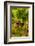 Washington State, Mattawa. Grenache Grapes-Richard Duval-Framed Photographic Print