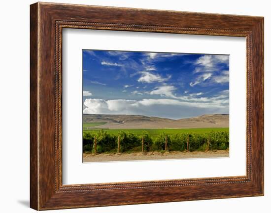 Washington State, Mattawa. Vineyard on the Wahluke Slope-Richard Duval-Framed Photographic Print