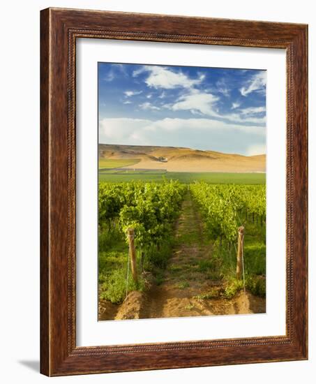 Washington State, Mattawa. Vineyard on the Wahluke Slope-Richard Duval-Framed Photographic Print