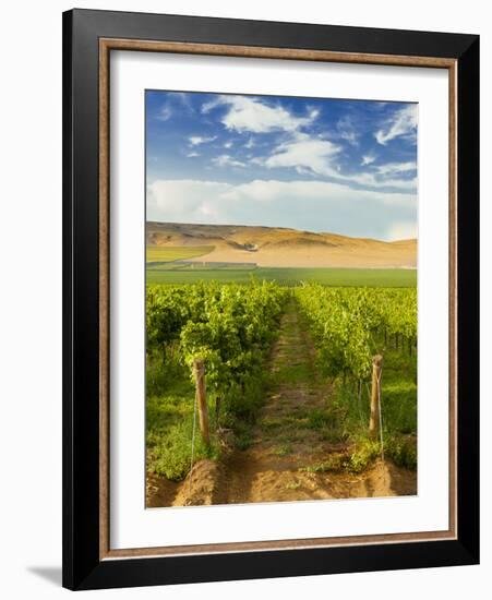 Washington State, Mattawa. Vineyard on the Wahluke Slope-Richard Duval-Framed Photographic Print