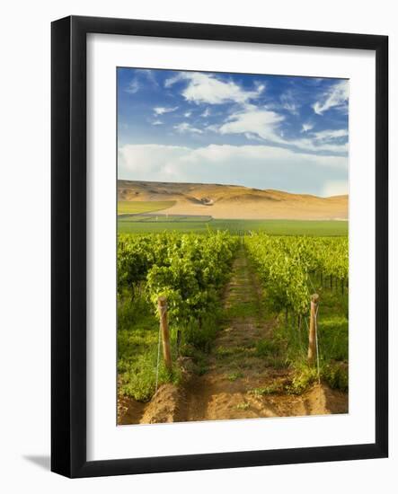 Washington State, Mattawa. Vineyard on the Wahluke Slope-Richard Duval-Framed Photographic Print