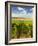 Washington State, Mattawa. Vineyard on the Wahluke Slope-Richard Duval-Framed Photographic Print