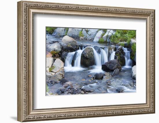 Washington State, Mount Rainier National Park, Edith Creek-Jamie & Judy Wild-Framed Photographic Print