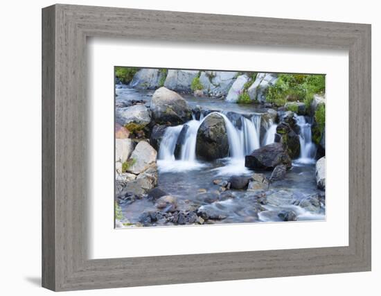 Washington State, Mount Rainier National Park, Edith Creek-Jamie & Judy Wild-Framed Photographic Print