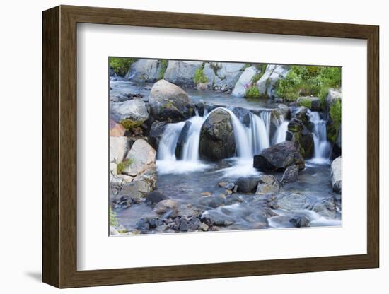 Washington State, Mount Rainier National Park, Edith Creek-Jamie & Judy Wild-Framed Photographic Print