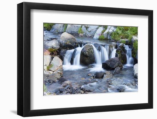 Washington State, Mount Rainier National Park, Edith Creek-Jamie & Judy Wild-Framed Photographic Print