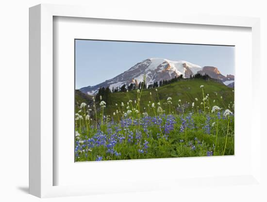 Washington State, Mount Rainier National Park, Mount Rainier and Wildflowers-Jamie & Judy Wild-Framed Photographic Print