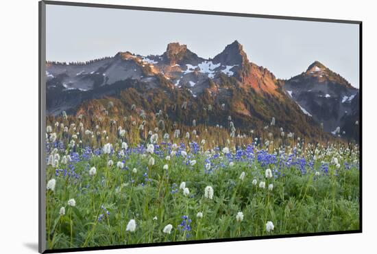 Washington State, Mount Rainier National Park, Tatoosh Range and Wildflowers-Jamie & Judy Wild-Mounted Photographic Print