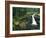 Washington State, Mt. Rainier National Park. Silver Falls Scenic-Jaynes Gallery-Framed Photographic Print