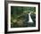 Washington State, Mt. Rainier National Park. Silver Falls Scenic-Jaynes Gallery-Framed Photographic Print