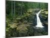 Washington State, Mt. Rainier National Park. Silver Falls Scenic-Jaynes Gallery-Mounted Photographic Print