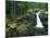 Washington State, Mt. Rainier National Park. Silver Falls Scenic-Jaynes Gallery-Mounted Photographic Print