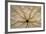 Washington State, Neah Bay. Design on Bottom of Sand Dollar Shell-Don Paulson-Framed Photographic Print