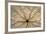 Washington State, Neah Bay. Design on Bottom of Sand Dollar Shell-Don Paulson-Framed Photographic Print