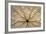 Washington State, Neah Bay. Design on Bottom of Sand Dollar Shell-Don Paulson-Framed Photographic Print