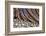 Washington State, Olympic National Park. Beach Rocks and Driftwood-Jaynes Gallery-Framed Photographic Print