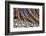 Washington State, Olympic National Park. Beach Rocks and Driftwood-Jaynes Gallery-Framed Photographic Print