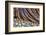 Washington State, Olympic National Park. Beach Rocks and Driftwood-Jaynes Gallery-Framed Photographic Print