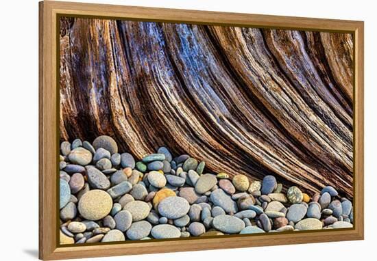 Washington State, Olympic National Park. Beach Rocks and Driftwood-Jaynes Gallery-Framed Premier Image Canvas