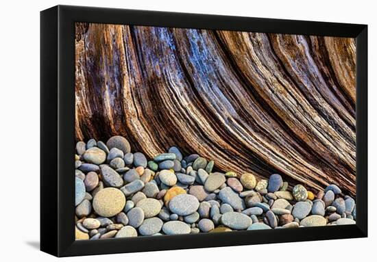 Washington State, Olympic National Park. Beach Rocks and Driftwood-Jaynes Gallery-Framed Premier Image Canvas