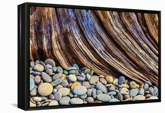 Washington State, Olympic National Park. Beach Rocks and Driftwood-Jaynes Gallery-Framed Premier Image Canvas