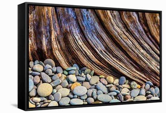 Washington State, Olympic National Park. Beach Rocks and Driftwood-Jaynes Gallery-Framed Premier Image Canvas