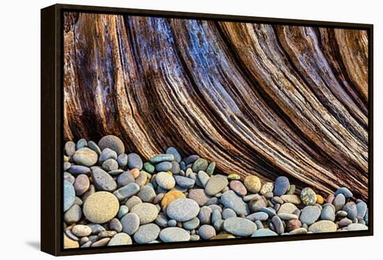 Washington State, Olympic National Park. Beach Rocks and Driftwood-Jaynes Gallery-Framed Premier Image Canvas