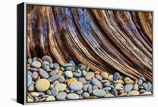 Washington State, Olympic National Park. Beach Rocks and Driftwood-Jaynes Gallery-Framed Premier Image Canvas