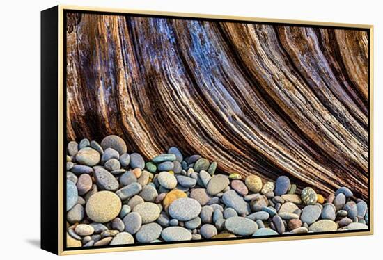 Washington State, Olympic National Park. Beach Rocks and Driftwood-Jaynes Gallery-Framed Premier Image Canvas