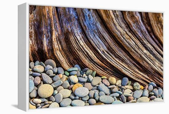 Washington State, Olympic National Park. Beach Rocks and Driftwood-Jaynes Gallery-Framed Premier Image Canvas