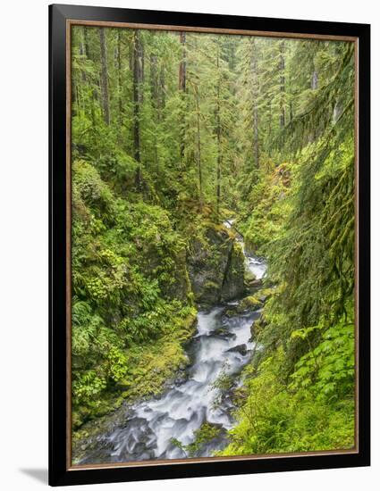 Washington State, Olympic National Park. Landscape with Sol Duc River-Jaynes Gallery-Framed Photographic Print